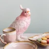 KARE Deko Dose Exotic Bird 23cm New