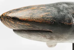 KARE Deko Figur Shark Base 59cm Hot