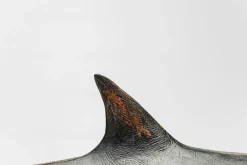KARE Deko Figur Shark Base 59cm Hot