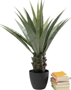 KARE Deko Pflanze Agave 85cm Clearance