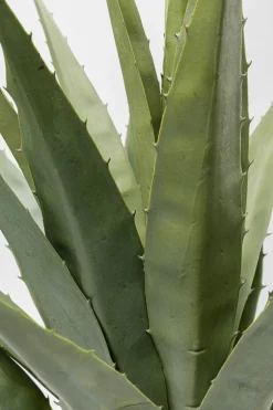 KARE Deko Pflanze Agave 85cm Clearance