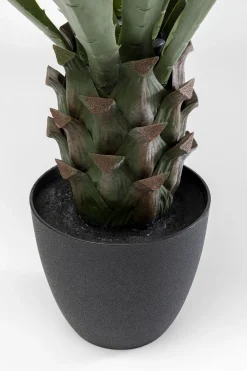 KARE Deko Pflanze Agave 85cm Clearance