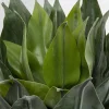 KARE Deko Pflanze Agave 120cm New