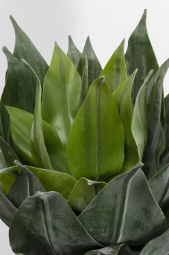 KARE Deko Pflanze Agave 120cm New