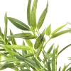 KARE Deko Pflanze Bamboo Tree 200cm Discount