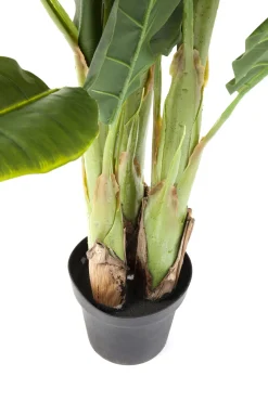 KARE Deko Pflanze Banana Tree 180cm Sale