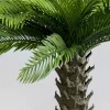 KARE Deko Pflanze Cycas 70cm Best