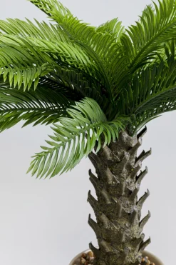 KARE Deko Pflanze Cycas 70cm Best