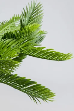 KARE Deko Pflanze Cycas 70cm Best