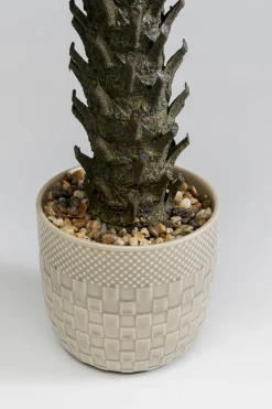 KARE Deko Pflanze Cycas 70cm Best