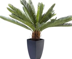 KARE Deko Pflanze Cycas Tree 78cm Sale