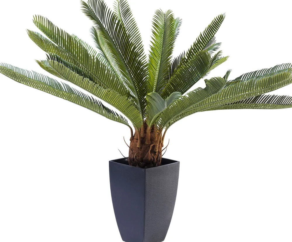 KARE Deko Pflanze Cycas Tree 78cm Sale