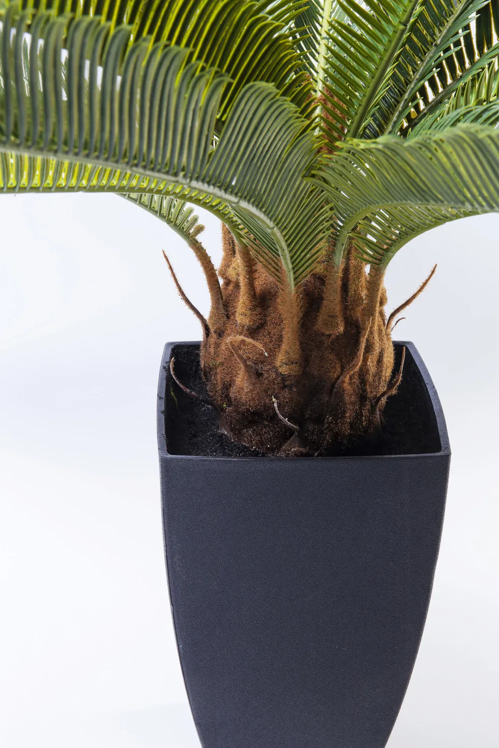 KARE Deko Pflanze Cycas Tree 78cm Sale