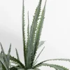 KARE Deko Pflanze Dragon Tree 155cm Hot