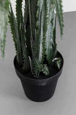 KARE Deko Pflanze Dragon Tree 155cm Hot