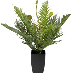 KARE Deko Pflanze Farn 55cm Hot