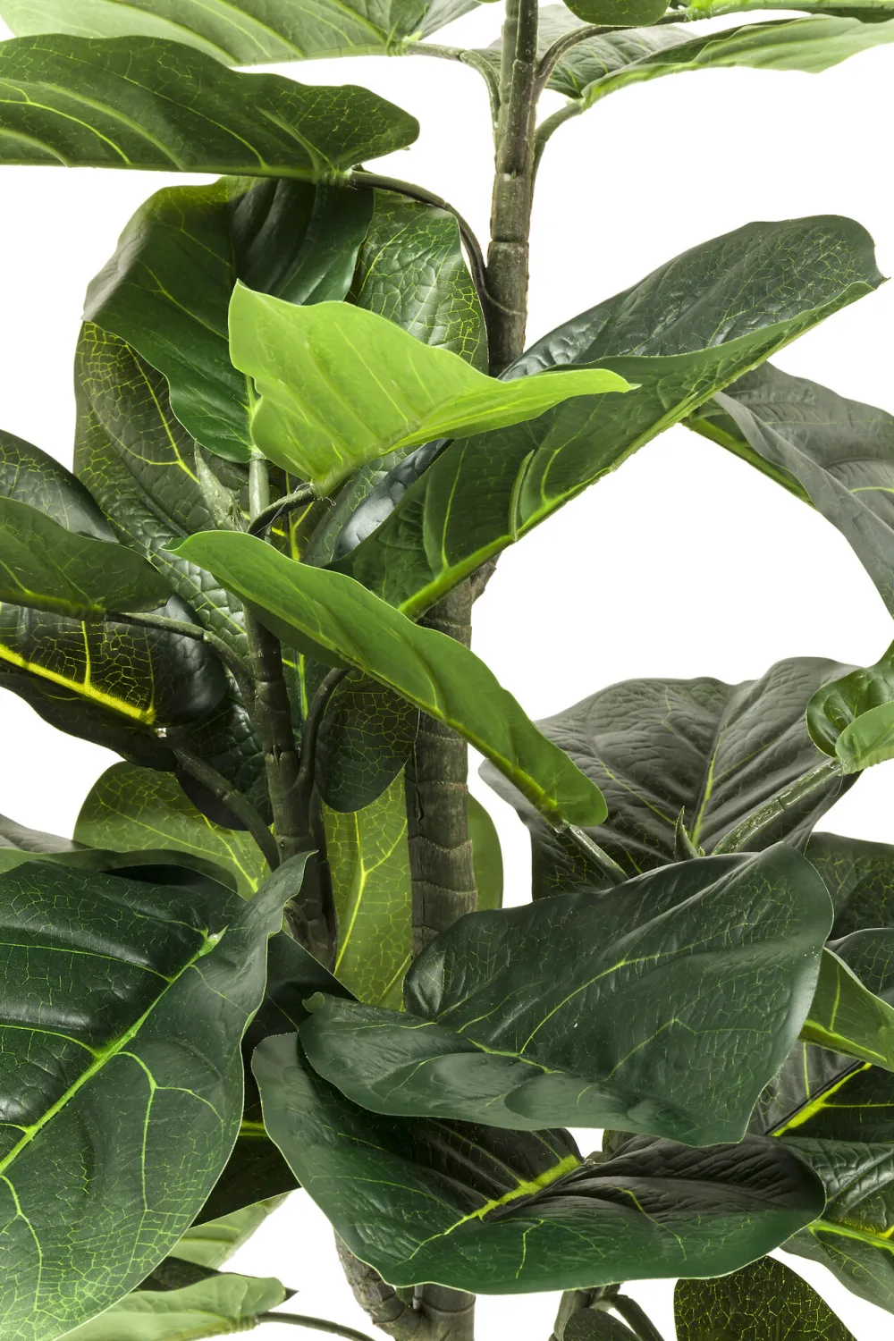KARE Deko Pflanze Fiddle Leaf 120cm Sale