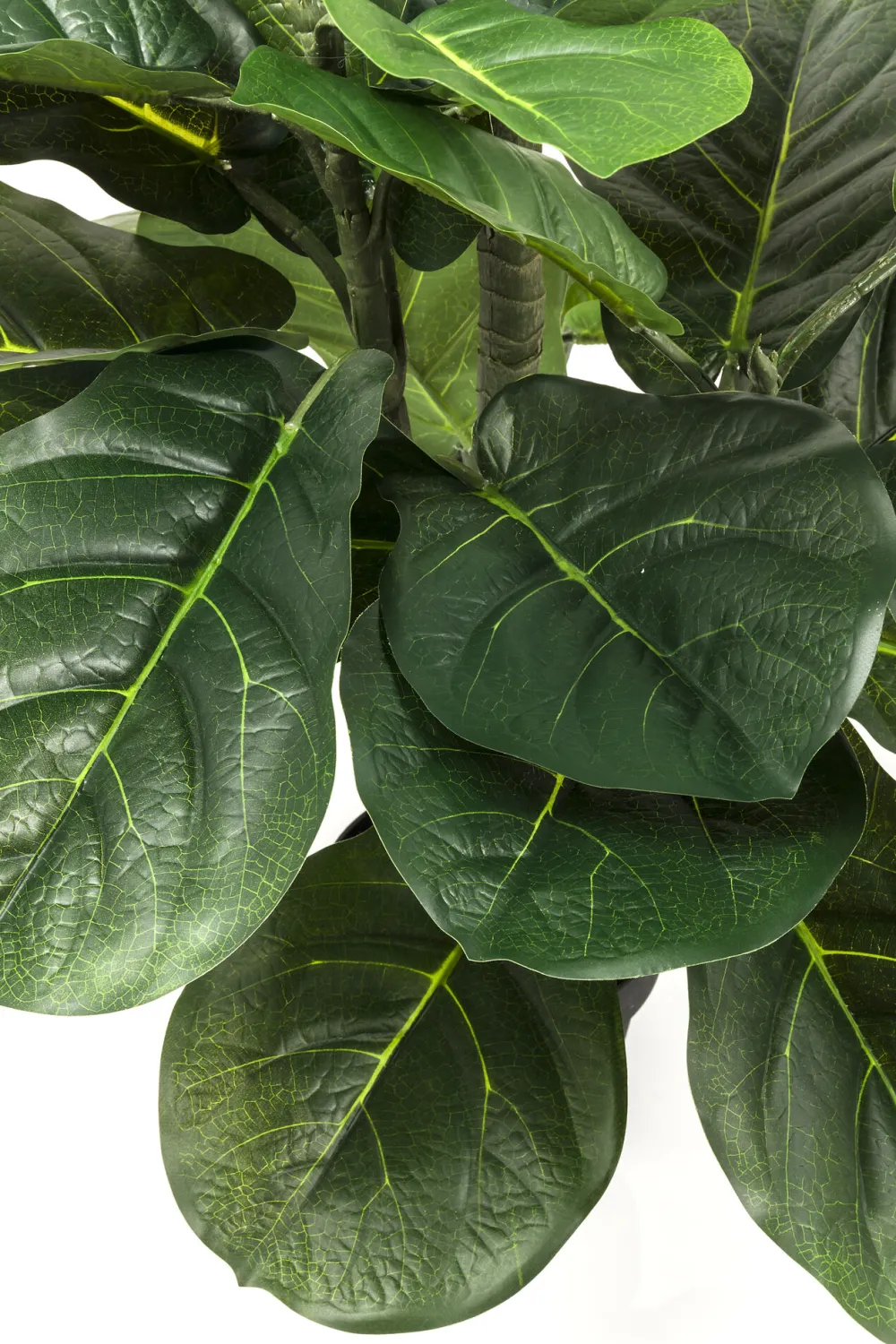 KARE Deko Pflanze Fiddle Leaf 120cm Sale