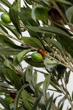 KARE Deko Pflanze Olive Tree 120cm Clearance