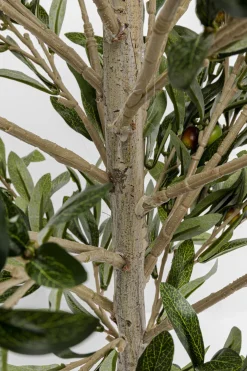 KARE Deko Pflanze Olive Tree 120cm Clearance