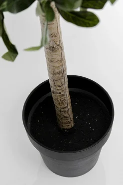 KARE Deko Pflanze Olive Tree 120cm Clearance