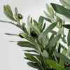 KARE Deko Pflanze Olive Tree 150cm New