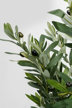 KARE Deko Pflanze Olive Tree 150cm New