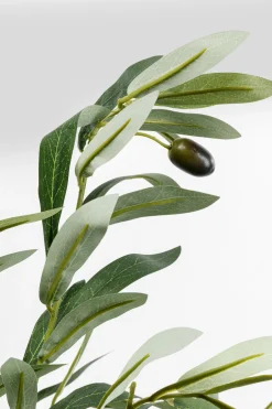 KARE Deko Pflanze Olive Tree 150cm New