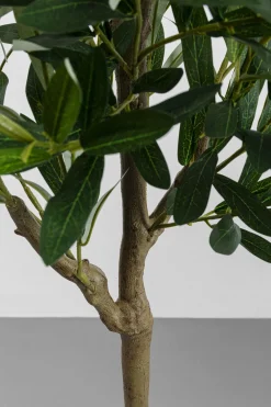 KARE Deko Pflanze Olive Tree 150cm New