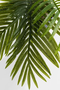 KARE Deko Pflanze Palm Tree 190cm Hot