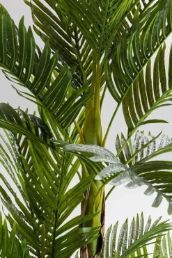 KARE Deko Pflanze Palm Tree 190cm Hot