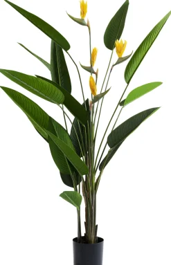 KARE Deko Pflanze Paradise Flowers 190cm Online