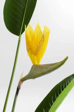 KARE Deko Pflanze Paradise Flowers 190cm Online