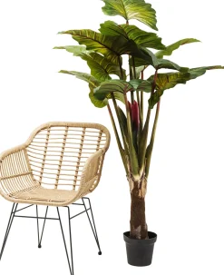 KARE Deko Pflanze Rainforest Green 160cm Online