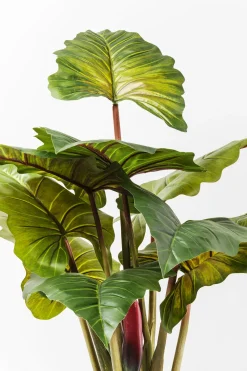 KARE Deko Pflanze Rainforest Green 160cm Online