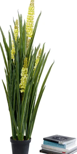 KARE Deko Pflanze Rhynchostylis 150cm Clearance