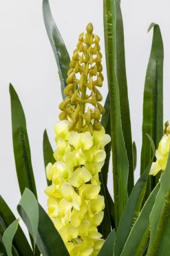 KARE Deko Pflanze Rhynchostylis 150cm Clearance