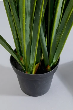 KARE Deko Pflanze Rhynchostylis 150cm Clearance