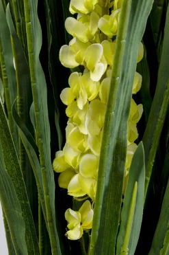 KARE Deko Pflanze Rhynchostylis 150cm Clearance