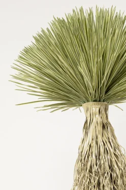 KARE Deko Pflanze Yucca Rostrata 240cm Discount