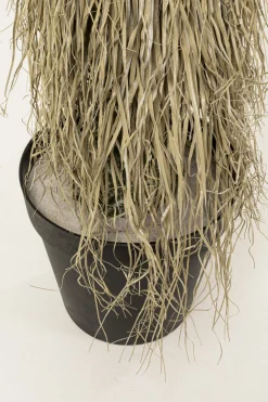KARE Deko Pflanze Yucca Rostrata 240cm Discount