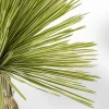 KARE Deko Pflanze Yucca Rostrata 180cm Sale