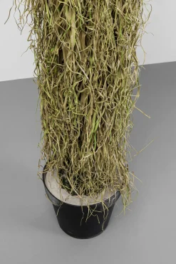 KARE Deko Pflanze Yucca Rostrata 180cm Sale
