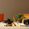 KARE Deko Schale Parrot Guard 10x21cm Online