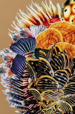 KARE Gerahmtes Bild Flower Hair 120x120cm Sale