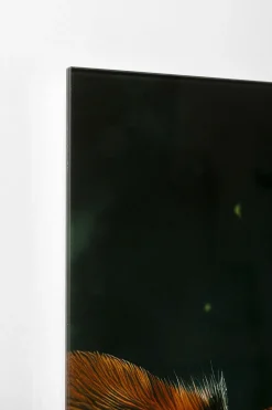 KARE Glasbild Astronauts Dogs 80x60cm Online