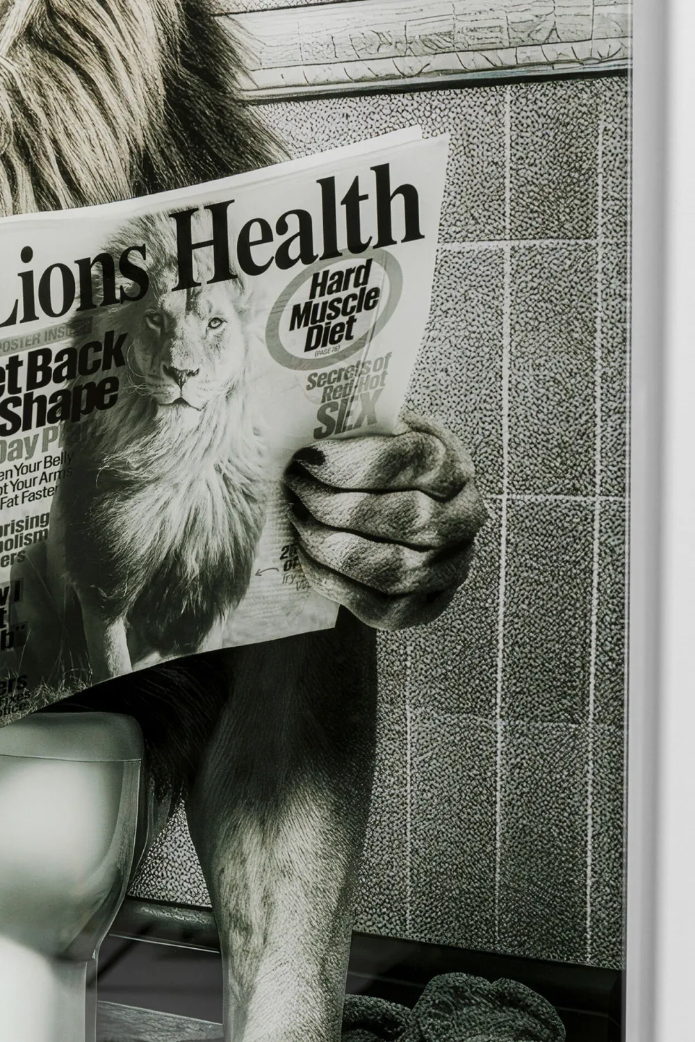 KARE Glasbild Bath Lion 60x80cm Clearance