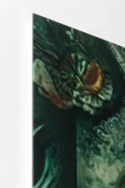 KARE Glasbild Mister Lion 150x100cm