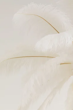 KARE Hängeleuchte Feather Palm Weiß Ø87cm Online