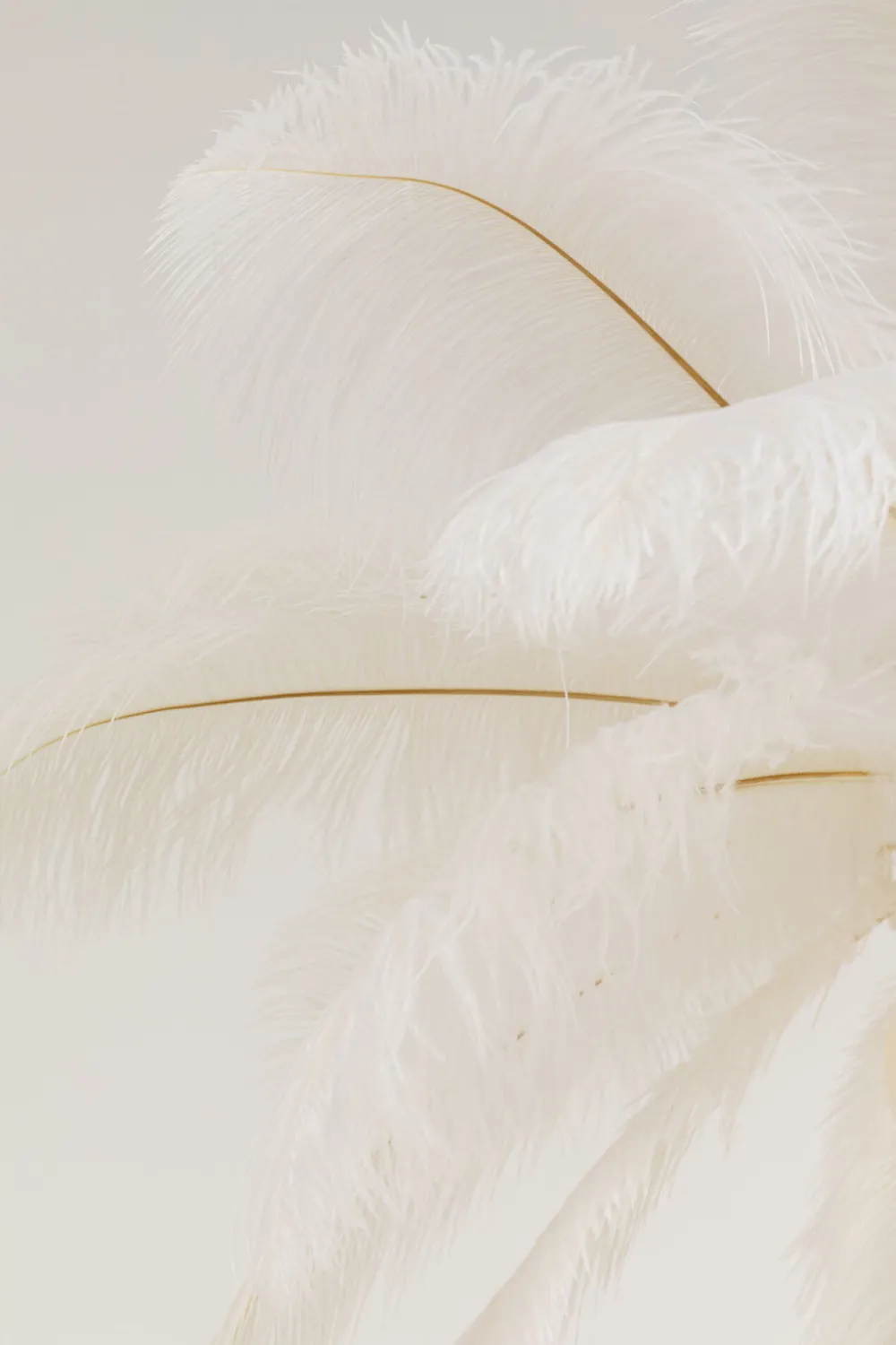 KARE Hängeleuchte Feather Palm Weiß Ø87cm Online